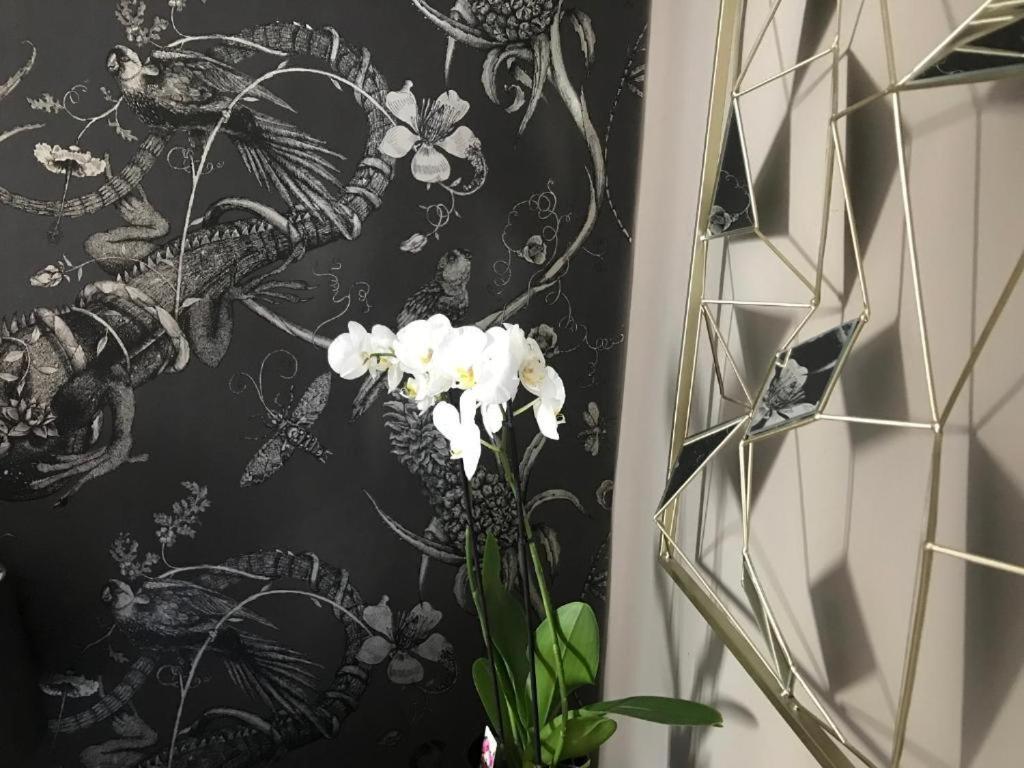 Lippi 42 Single Room's In With Garden * Milano